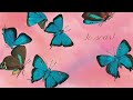 A BUTTERFLY IS PATIENT by Dianna Aston | Read Aloud for Kids | All About Butterflies & Life Cycle