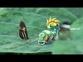 My Singing Monsters in Real Life 8 | MSM |Some Random Monsters and Gold Wubbox