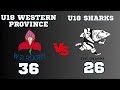 Try-Fest! Western Province vs Sharks - A Craven Week 2024 Classic