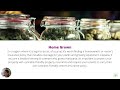 CANNABIS INSURANCE FOR SMALL BUSINESS OWNERS MODULE 1 #insurance #CANNABIS #BUSINESS