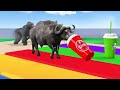 sea animals entertainment 13+ dinosaurs horse tiger lion zebra cow camel deer leopard. Animals Demo