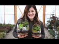 How to Make A Terrarium (Full Version) // Garden Answer