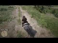 Red Dead Redemption 2 Accident