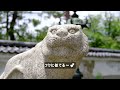 Kyoto/early summer cool/hydrangea in Gion/Goryo Jinja Shrine/Kyoto Travel & Sightseeing