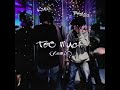 Too Much (Remix)