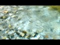【自然音】せせらぎ-5 / 1 Hour Nature Sounds - Babbling Brook Sounds