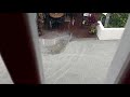 Flooding St Augustine FL Severe Weather