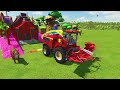 HARVESTING & TRANSPORTING SUGARCANE with MINI FORD TRACTORS & COLORED TRAILERS! Farming Simulator 22