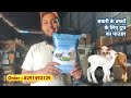 Best Milk Powder for Baby Goats and Sheep