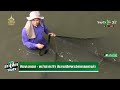 ฟ้องเอกชน-หน่วยงานรัฐ ต้นตอปัญหาปลาหมอคางดำ : ขีดเส้นใต้เมืองไทย | 1 ส.ค. 67 | ข่าวเที่ยงไทยรัฐ