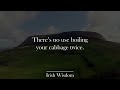 Incredibly Wise Irish Proverbs and Sayings. Everyone needs to hear them! | Proverbs, Sayings.