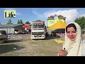 Kashmir Garlic Production Up