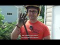 Ron's Takedown | Part 2 | WILD GROWN TREE CLUMP | Tree Fellers - KJS Tree Service