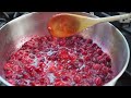 Cranberries Mashup