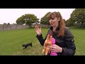 The Tornado Terrier: Lottie | Full Episode | It's Me or the Dog