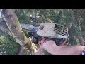 HOW TO RIGG A TREE TOP TO ITSELF, USING JUST A ROPE