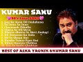 💖90's Superhit Evergreen Hindi Song ♥️♥️ !! Best Of Kumar Sanu & Alka Yagnik Song Hindi Love Song