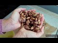 Quick homemade roasted almonds