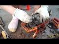 Genius girl. Repair and restore damaged gasoline saws, help carpenters _ Girl Mechanical