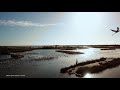 Wetlands - Mangroves, Marshes and Bogs - Biomes#9