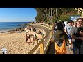 SYDNEY AUSTRALIA | Walking tour - Manly Beach - Shelly Beach [4K HDR ] 2024