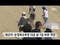 '모래로 그린 명화' 해운대는 벌써 여름 (2024-05-25,토/뉴스데스크/부산MBC)