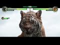 Bagheera vs Shere Khan with Healthbars