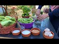 An hour of real life in the Holy Land | The land of abundant harvests and delicious recipes!!