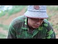 Harvesting purple sticky corn, making tables and chairs from hundred-year-old tree stumps