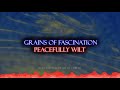 [Touhou-style music] Grains of Fascination ~ Peacefully Wilt MV