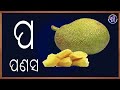 Odia BarnaMala (ଓଡିଆ ବର୍ଣମାଳା) | Odia Alphabets | Odia ABCD | Odia Barnabodha | Shruti TV