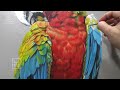 Bird ( Macaw ) Painting Using Oil Paint #10