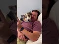 Our corgi protects when the tickle monster comes around