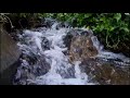 1 Hours Relaxing Water Sounds, Calming Sleep Sounds, Nature White Noise Sounds