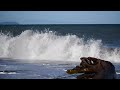 Geology - The Bluffs at Dungeness Spit near Sequim, WA | Olympic Peninsula