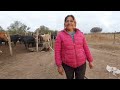 Así es la VIDA en una COLONIA RURAL AISLADA de TODO/Pampa Cejas - Chaco