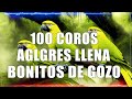 Coros Viejitos Pero Bonitos - Coros Pentecostales - Mas De 100 Coros Avivamiento Pentecostal