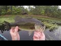 Catching some Bass in Mass!