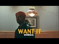 SonReal - Want It (Audio)