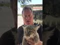 Dehydrated Baby Bobcat Found in a Wall!😲