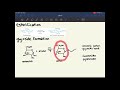 MCAT Biochemistry Ch. 4: Carbohydrate Structure and Function