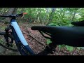 Skullcap | Poverty Creek Trail System | Blacksburg, VA