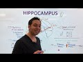 Hippocampus and Memories