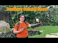 [4K] The Show ~ Bali Bird Park