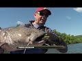 Catching Giant Flathead Catfish on the Tennessee River