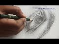 Eyes Drawing | Pencil Art | Pencils and Brushes Arts | Drawing