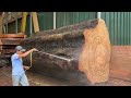 The World's Largest Wood Factory // Wood Trees Come From The Black Continent