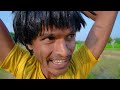 Don`t Miss Exclusively Cow Funniest Comedy Video 😂 Viral Funny Video 2024 Ep 309 by Bidik Fun Tv