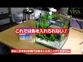 How to build a 20cm small aquarium! Learn how to start up for beginners #aquarium #water plants