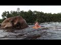 SWIMMING WITH BUBBLES THE ELEPHANT
